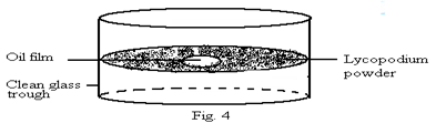 Image From EcoleBooks.com