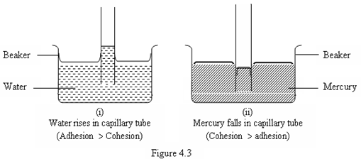 Image From EcoleBooks.com