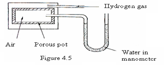 Image From EcoleBooks.com