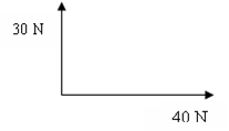 Image From EcoleBooks.com