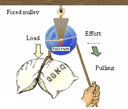 Image From EcoleBooks.com
