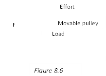 Image From EcoleBooks.com
