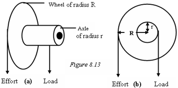 Image From EcoleBooks.com