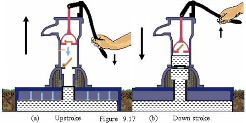 Image From EcoleBooks.com