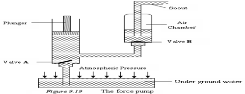 Image From EcoleBooks.com