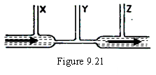 Image From EcoleBooks.com