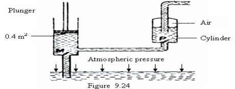 Image From EcoleBooks.com