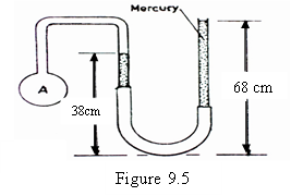 Image From EcoleBooks.com