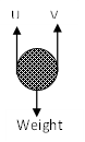Image From EcoleBooks.com