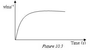 Image From EcoleBooks.com