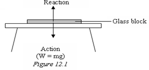 Image From EcoleBooks.com