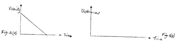Image From EcoleBooks.com