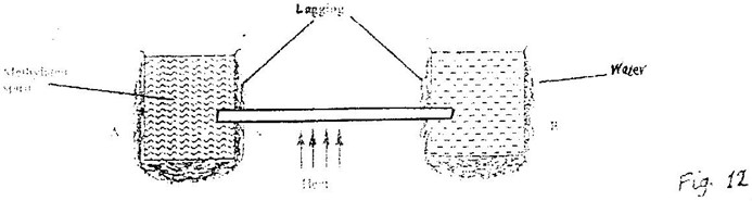 Image From EcoleBooks.com