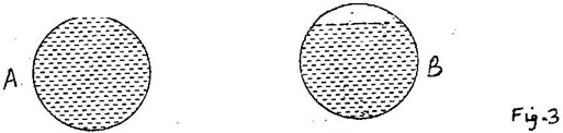 Image From EcoleBooks.com