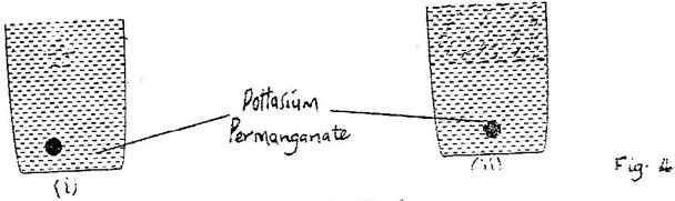 Image From EcoleBooks.com