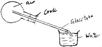 Image From EcoleBooks.com