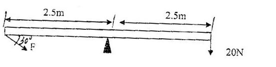 Image From EcoleBooks.com