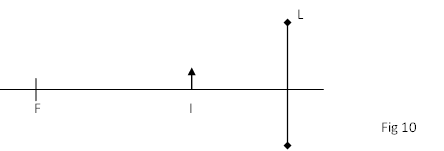 Image From EcoleBooks.com