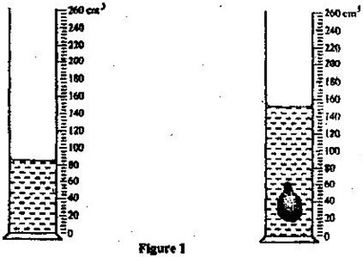 Image From EcoleBooks.com