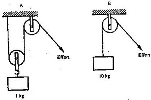 Image From EcoleBooks.com