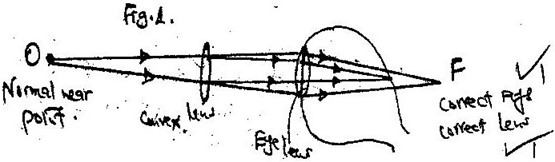 Image From EcoleBooks.com