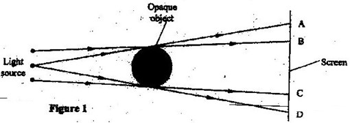 Image From EcoleBooks.com