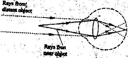 Image From EcoleBooks.com