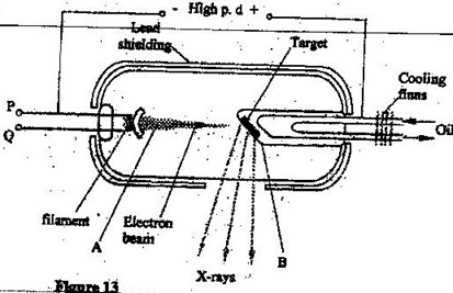Image From EcoleBooks.com