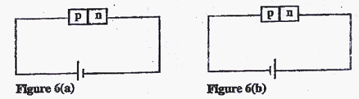Image From EcoleBooks.com