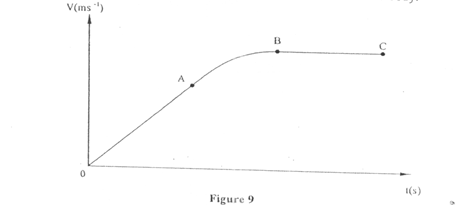 Image From EcoleBooks.com