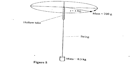 Image From EcoleBooks.com