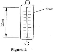 Image From EcoleBooks.com