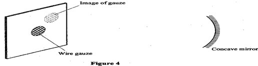 Image From EcoleBooks.com