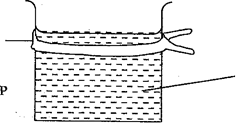Image From EcoleBooks.com