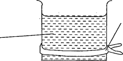 Image From EcoleBooks.com