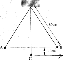 Image From EcoleBooks.com