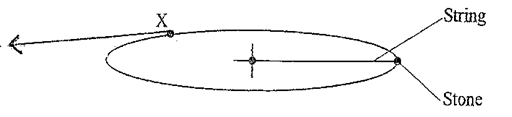 Image From EcoleBooks.com