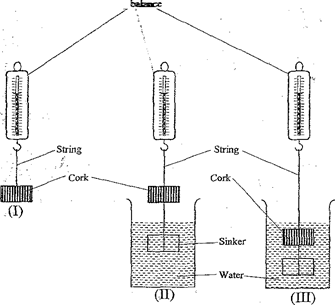 Image From EcoleBooks.com