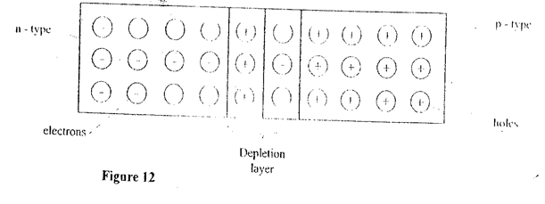 Image From EcoleBooks.com