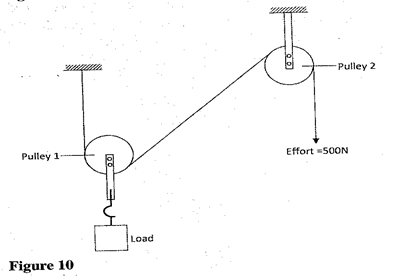 Image From EcoleBooks.com