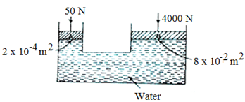 Image From EcoleBooks.com