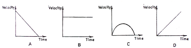 Image From EcoleBooks.com