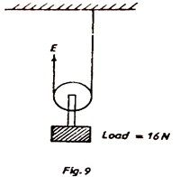 Image From EcoleBooks.com