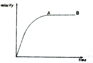 Image From EcoleBooks.com