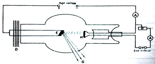 Image From EcoleBooks.com