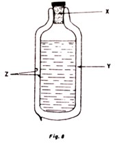 Image From EcoleBooks.com