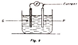 Image From EcoleBooks.com