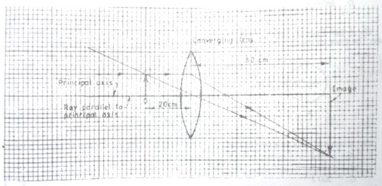 Image From EcoleBooks.com