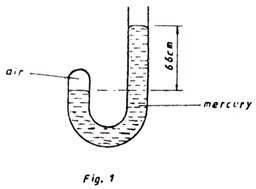 Image From EcoleBooks.com
