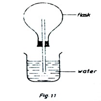 Image From EcoleBooks.com